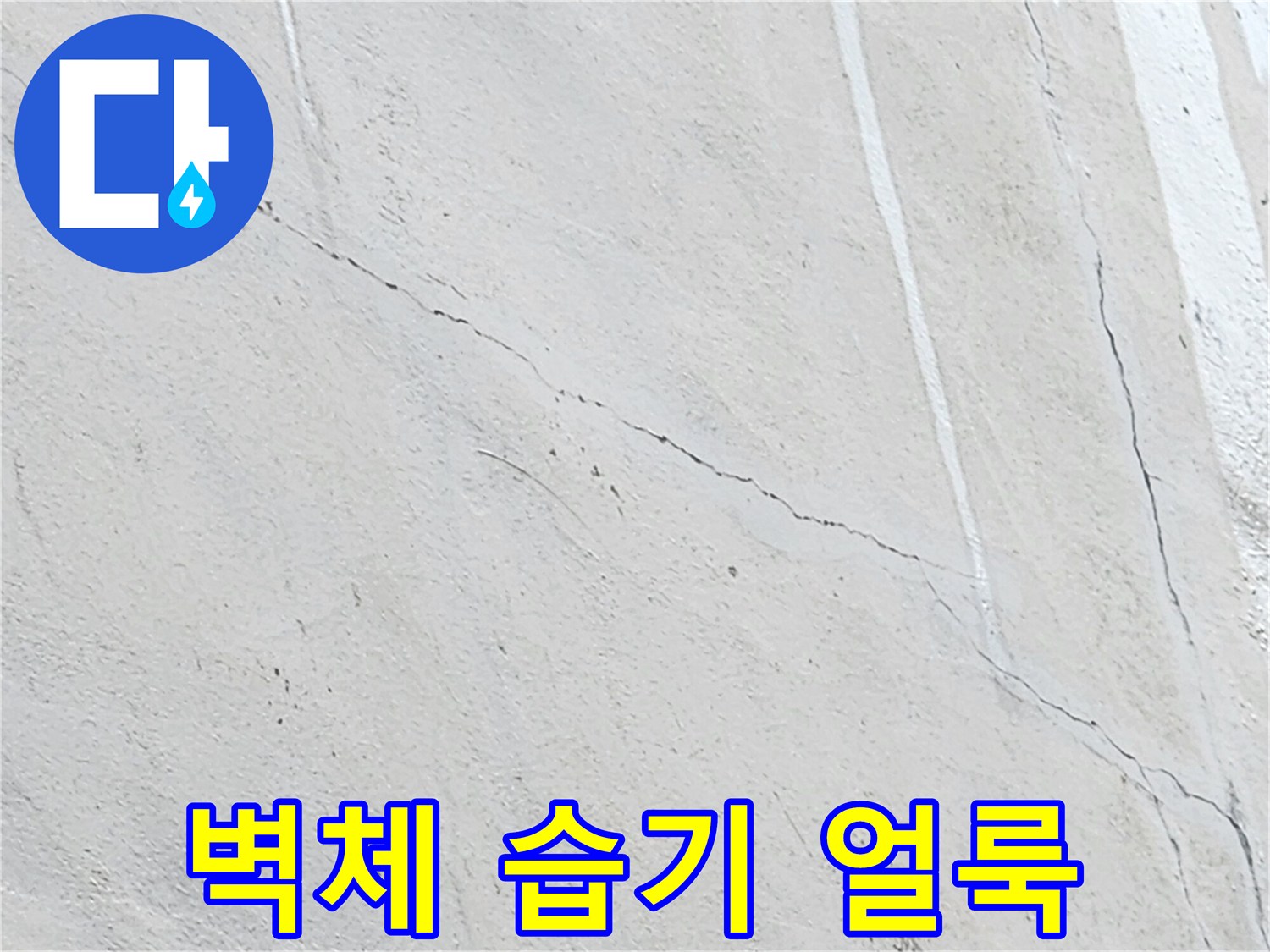 물기에-젖어-변색된-벽면-표면
