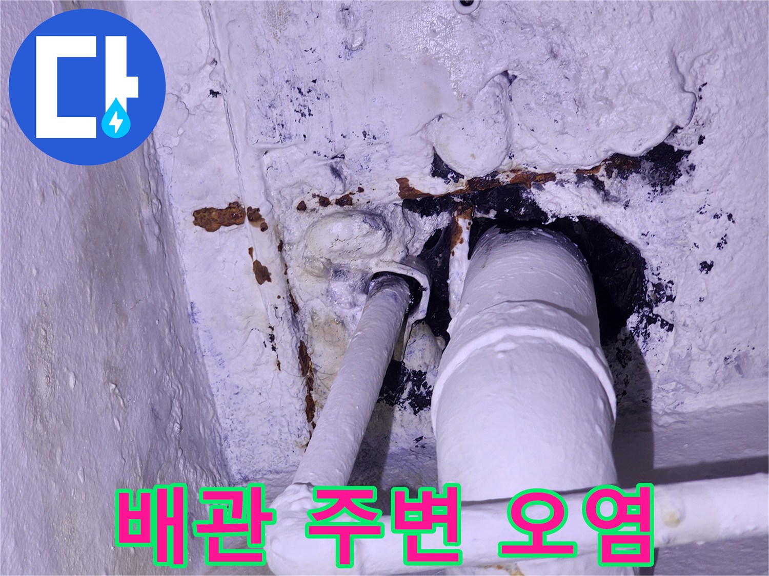 배관 주위의 검은 곰팡이와 벽면 변색 상태
