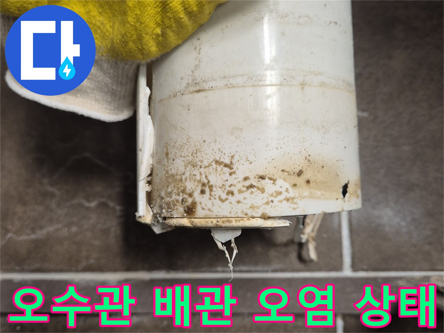 변기 하단 배관 주변의 거뭇한 곰팡이와 물샘 흔적