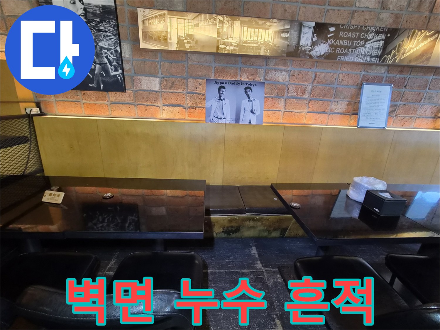 벽돌 벽면 아래쪽의 곰팡이 발생 부위