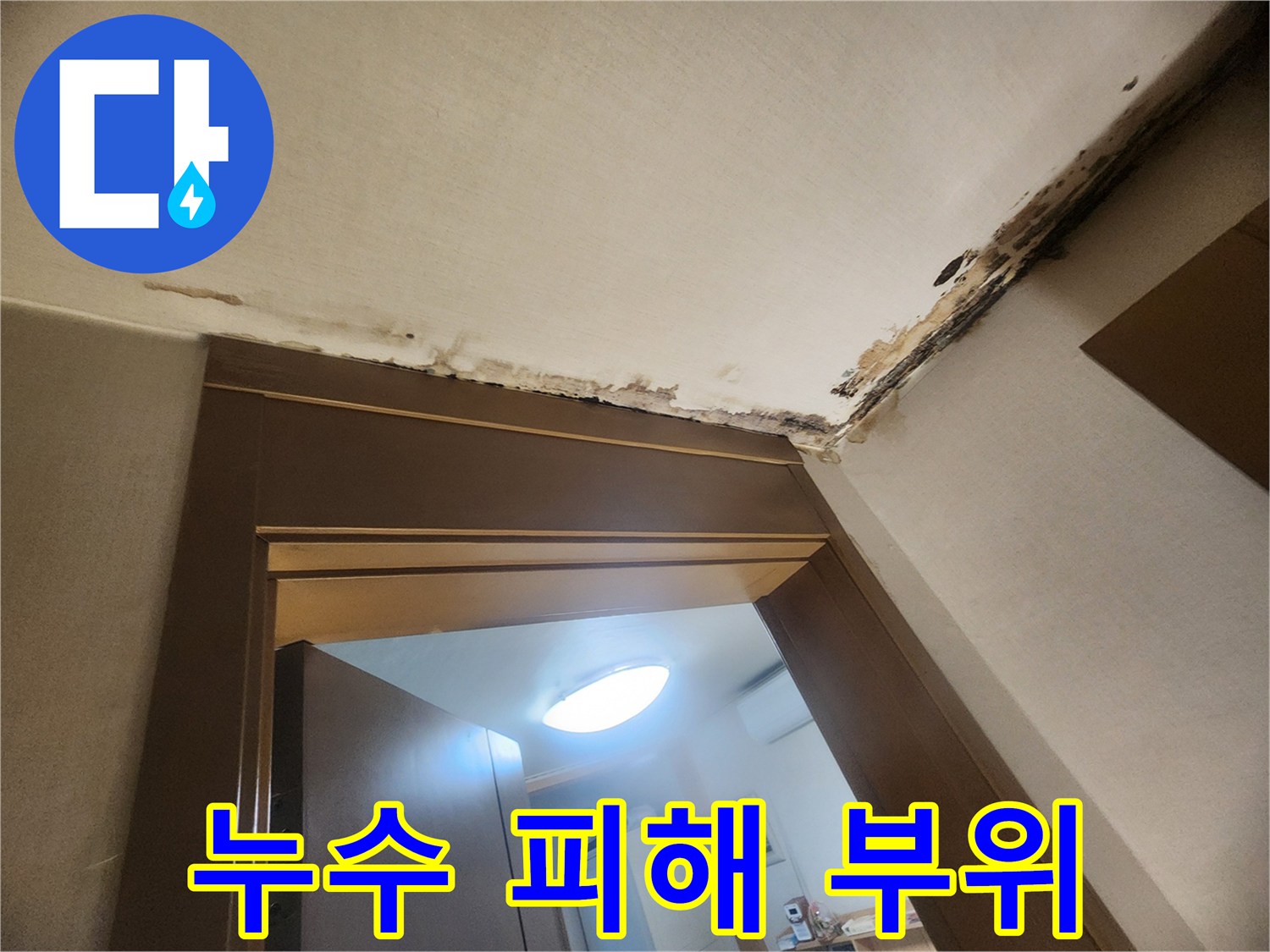 벽면-상단부-곰팡이와-물자국-발생-모습