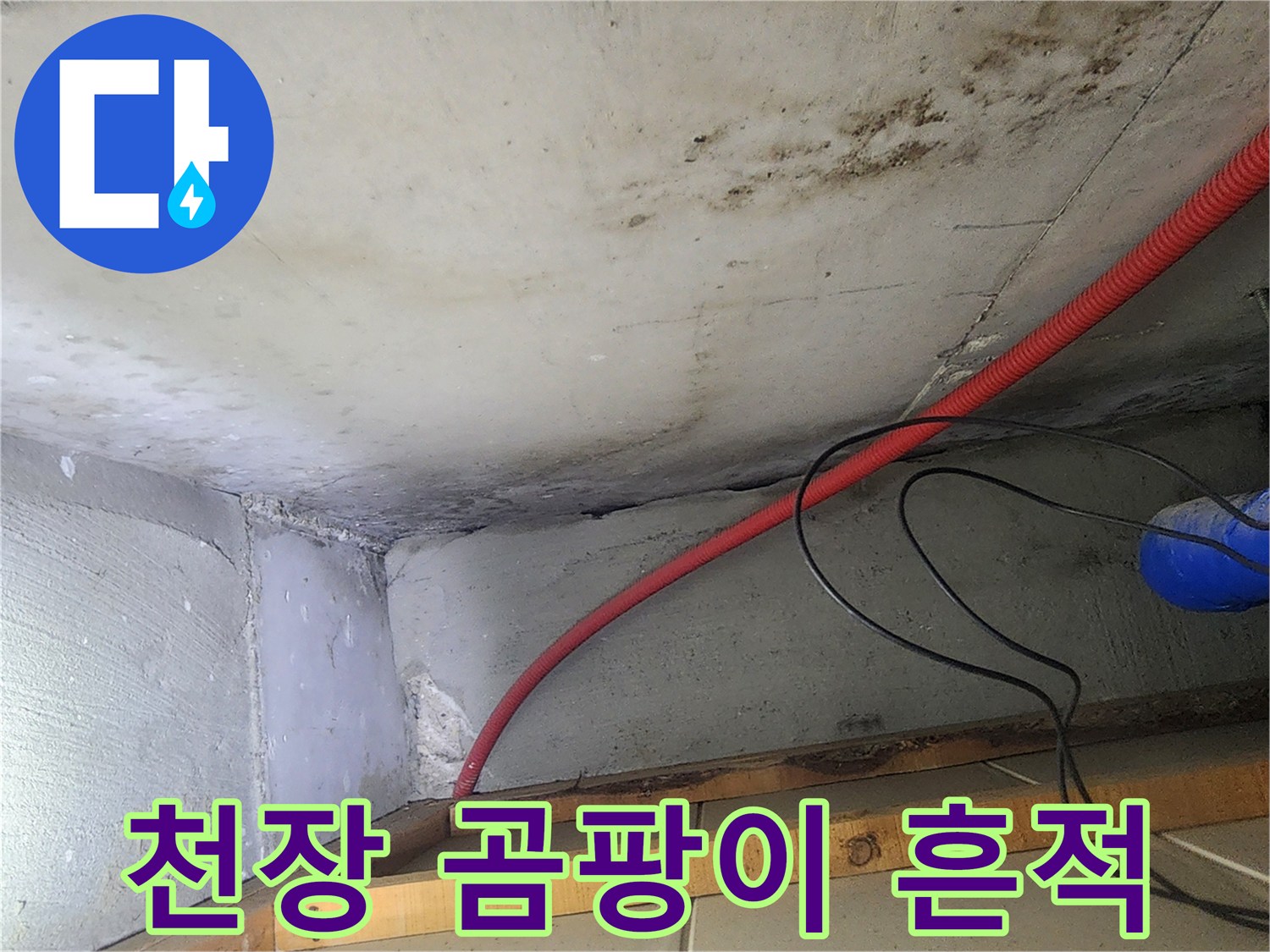 성내동 현장-천장 콘크리트 부위의 곰팡이 및 습기 흔적