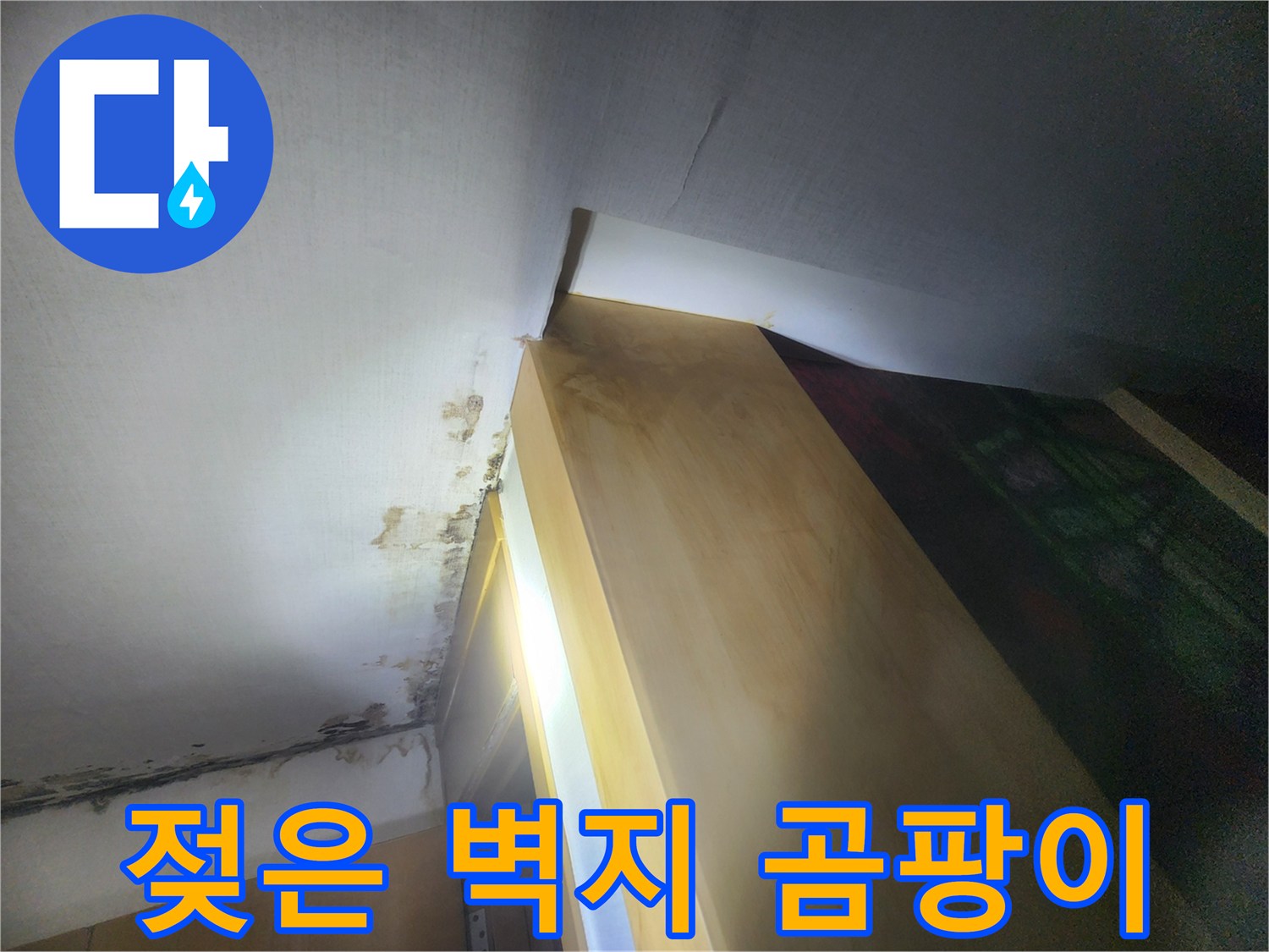 습기로 인해 변색되고 곰팡이가 피어오른 천장