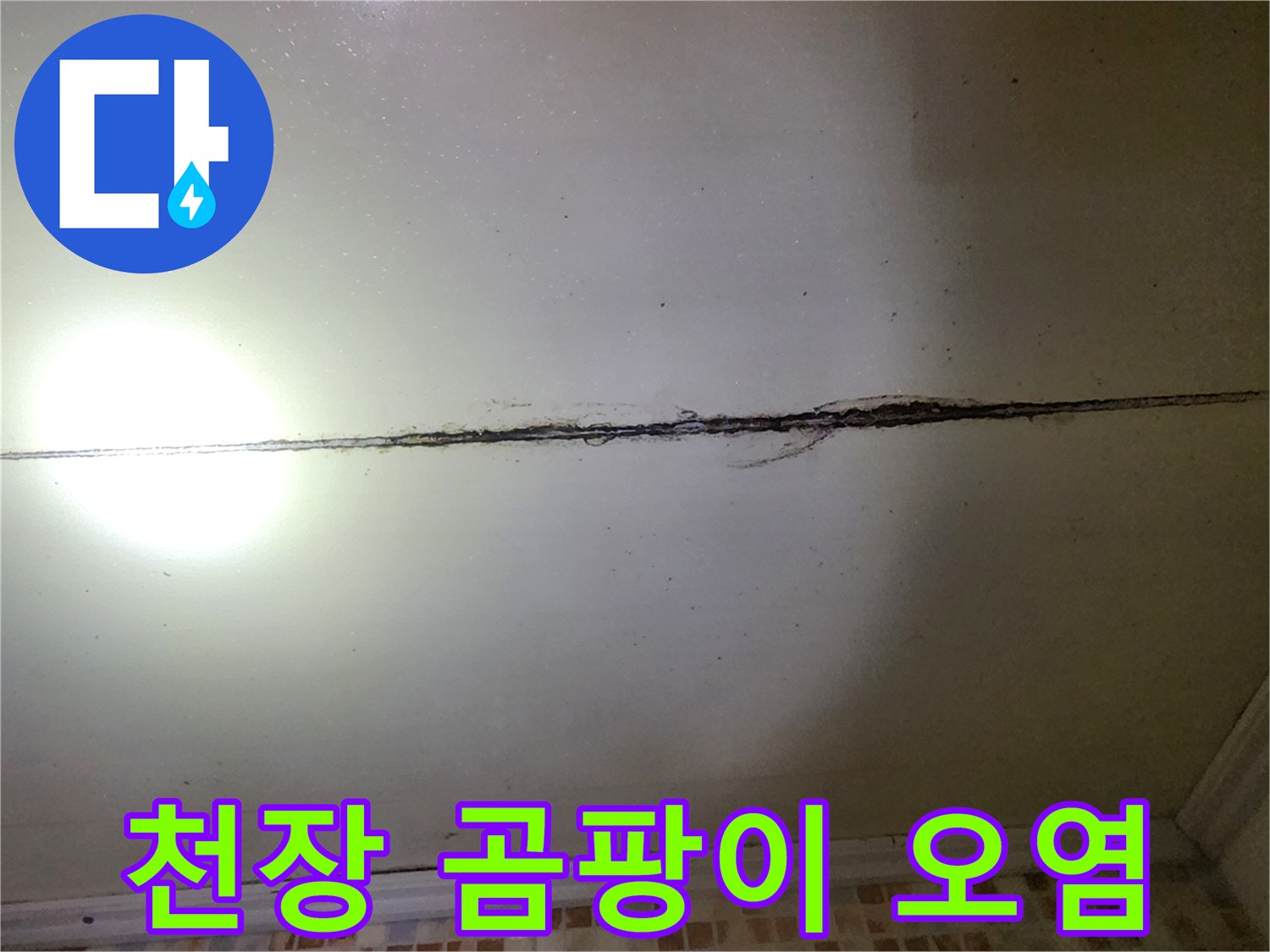 천장 이음새 부위-검게 변한 곰팡이와 물기 흔적