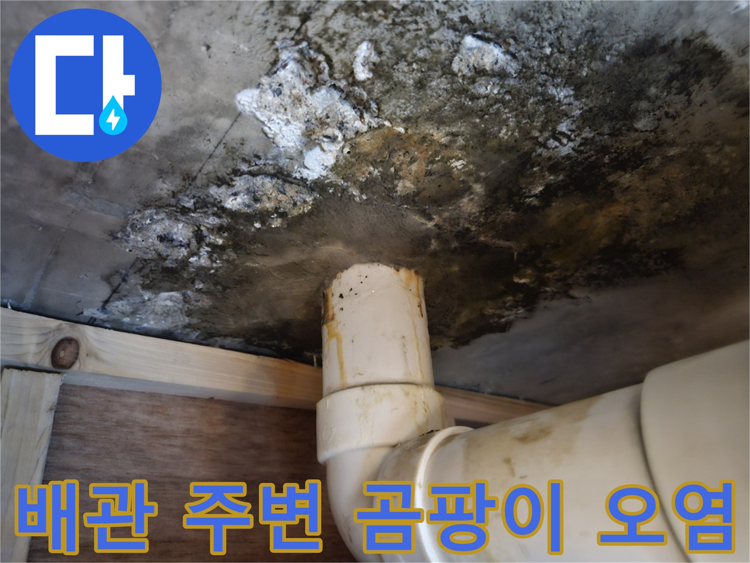 배관 연결부-콘크리트 슬래브-곰팡이 발생 현장