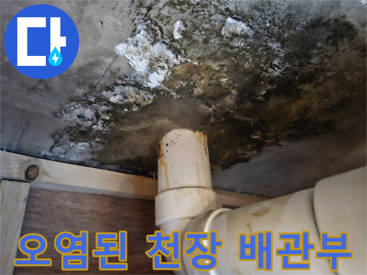 배관 주변 곰팡이-콘크리트 슬래브 변색 상태
