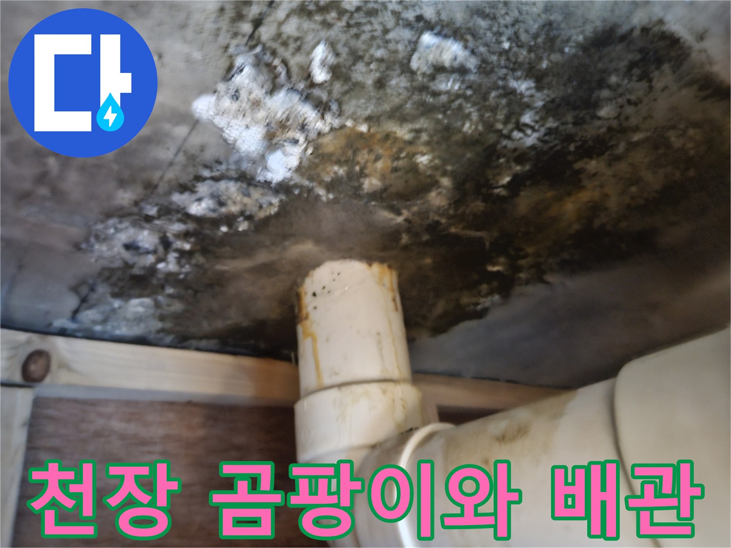 욕실-하부층-천장-콘크리트-슬래브-곰팡이-및-배관-상태
