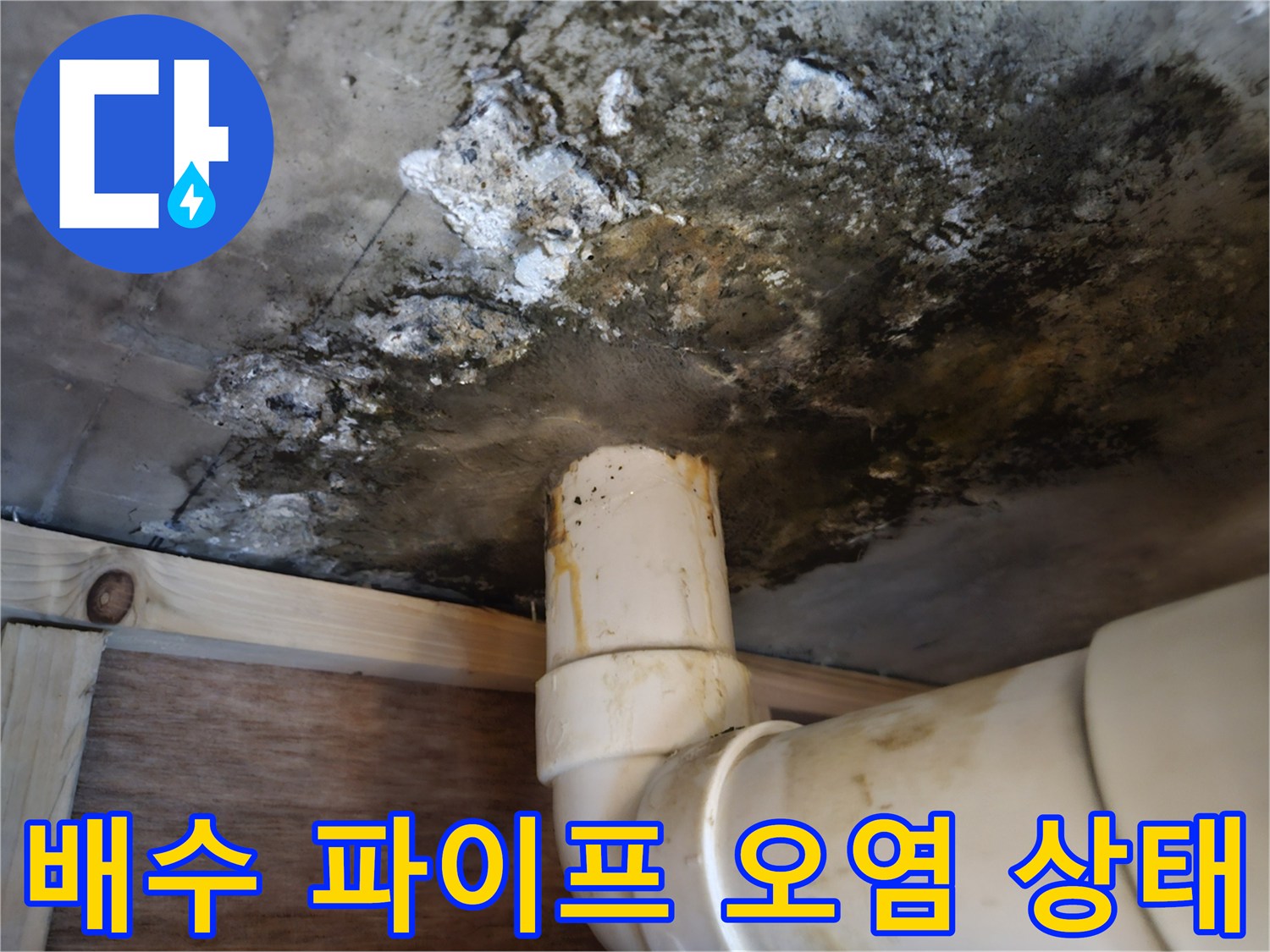 천장-배관-주변의-심한-곰팡이와-슬래브-변색