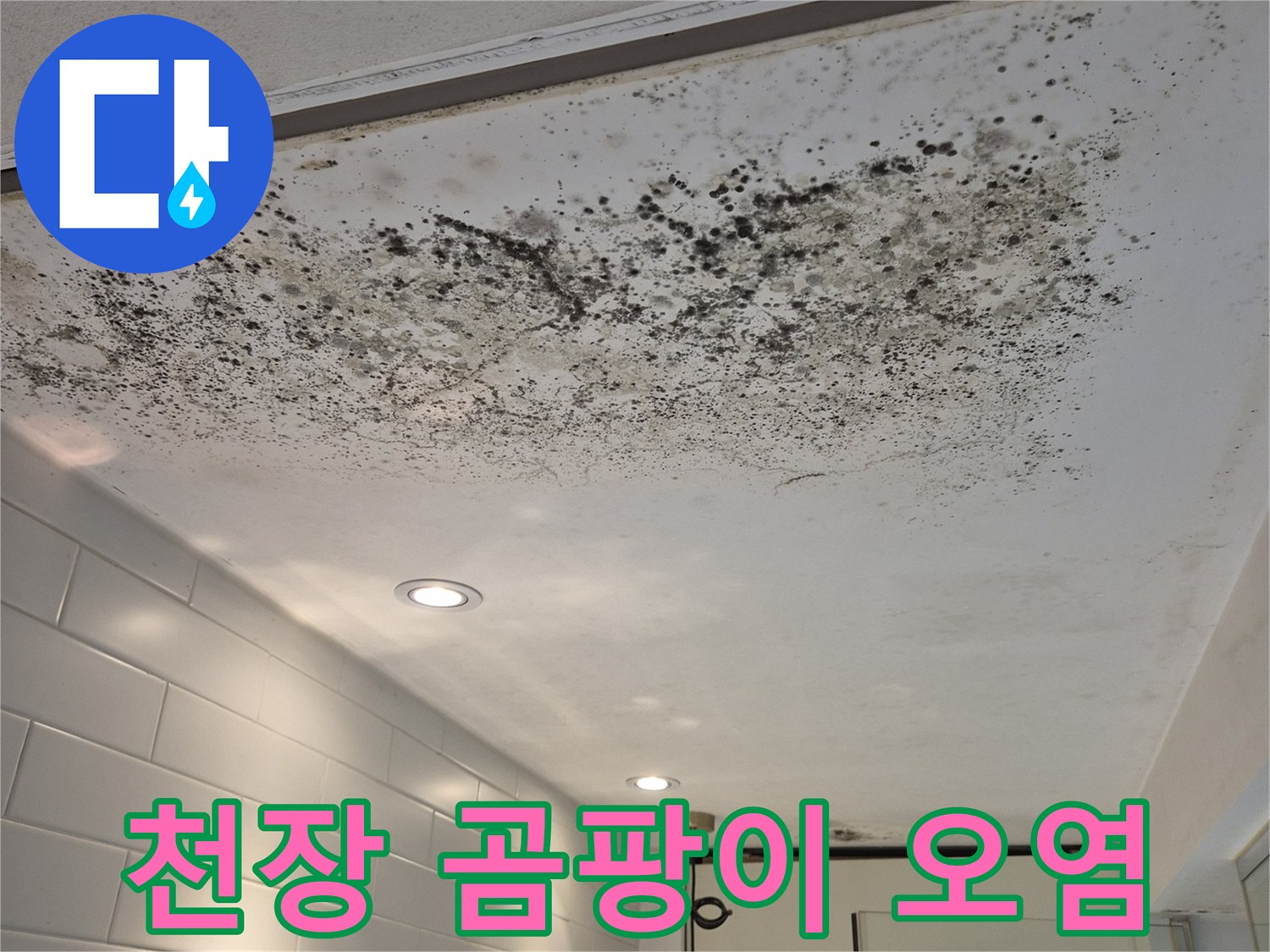 심하게 발생한 천장 벽면의 곰팡이와 누수 흔적