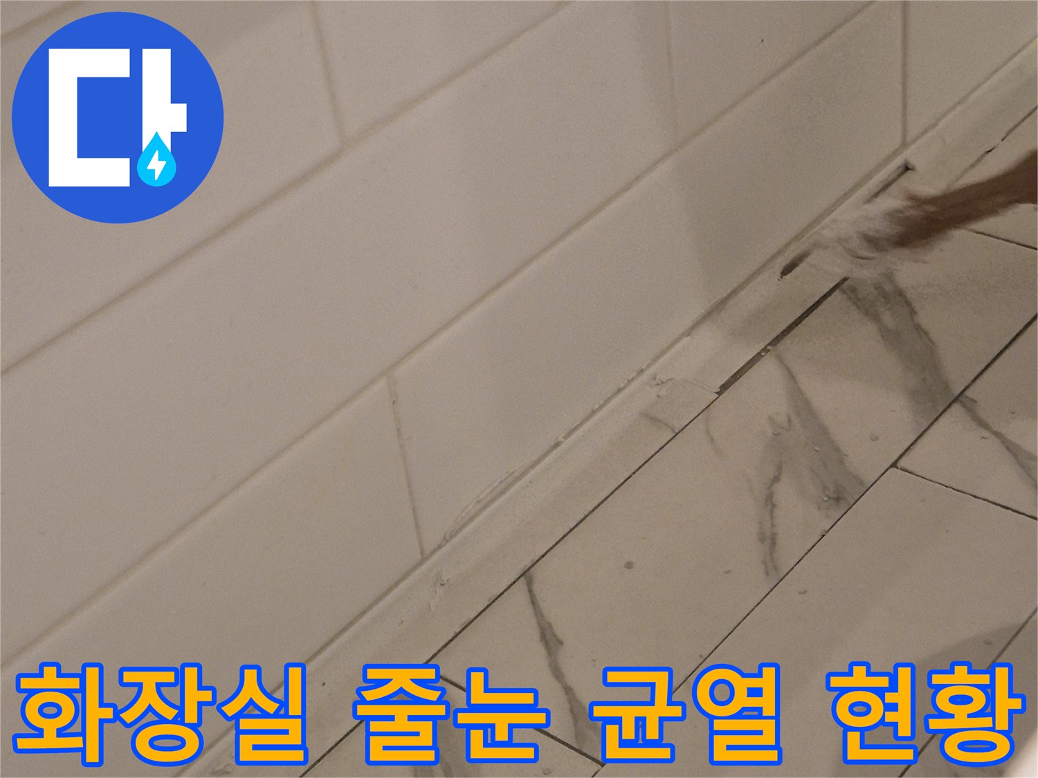 타일과 타일 사이-틈새 및 균열 발생 부위