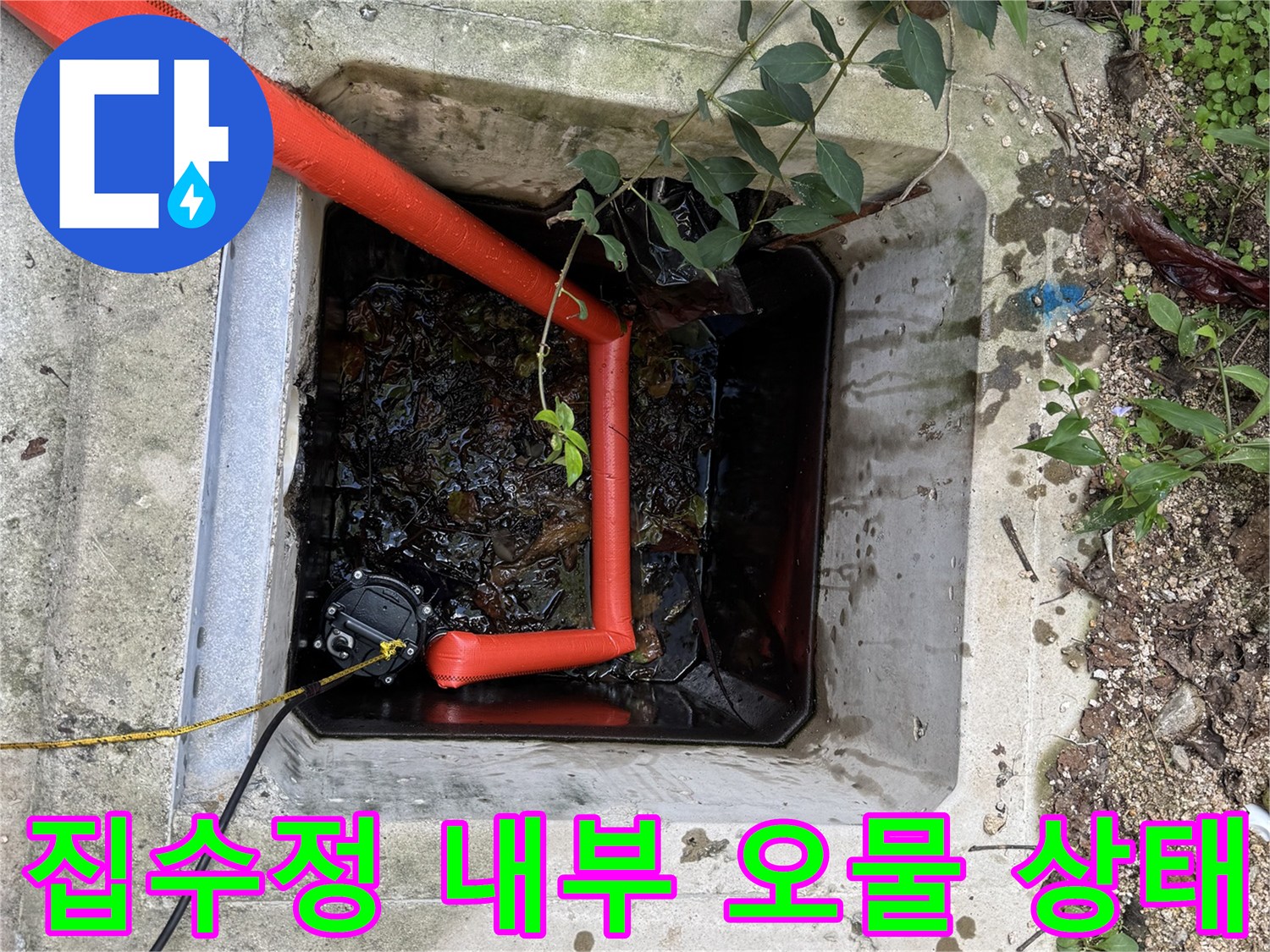 집수정-내부에-가득한-검은색-슬러지와-오물-상태