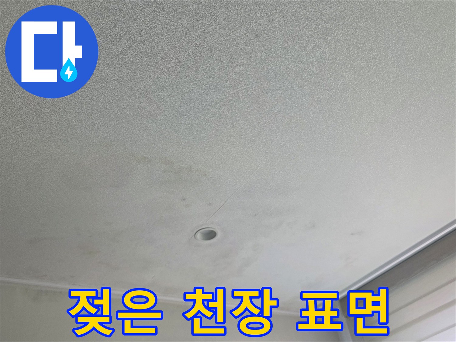 수내동 누수 현장 - 천장 마감재의 젖음 및 변색 상태