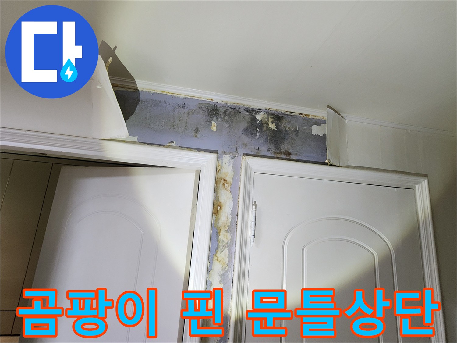문틀 위쪽 벽면-습기로 인해 검게 변한 곰팡이 흔적