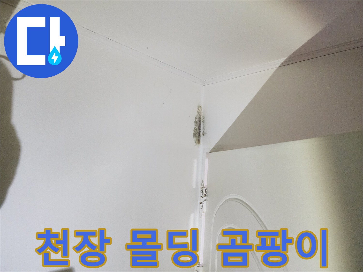 신사동 누수 현장-몰딩 주변의 검은 곰팡이 흔적