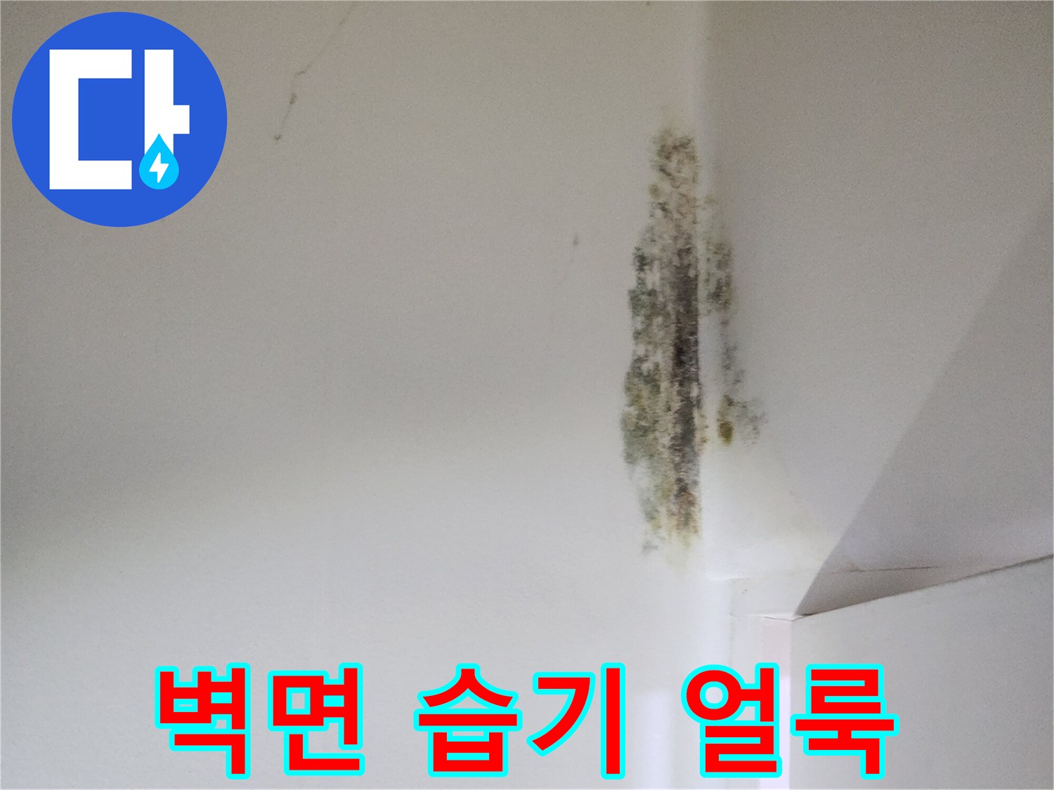 천장 모서리 부근의 페인트 변색과 곰팡이 발생