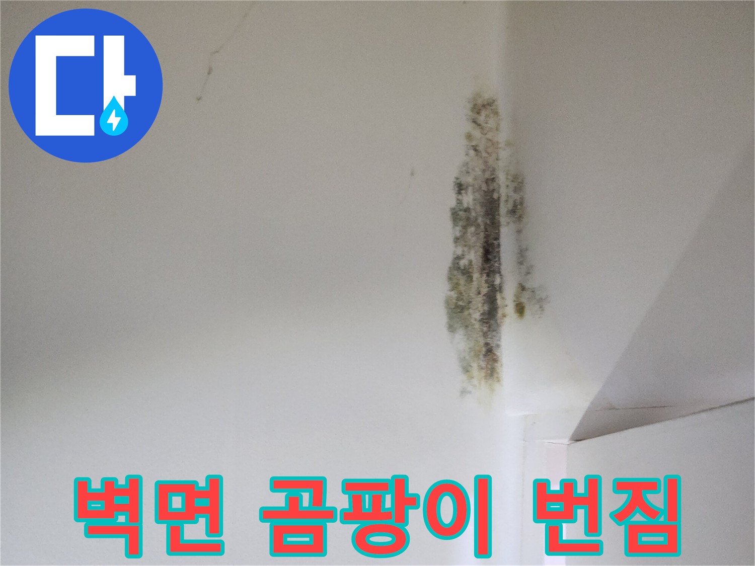 화장실 벽면 상단-검게 변한 곰팡이 부위