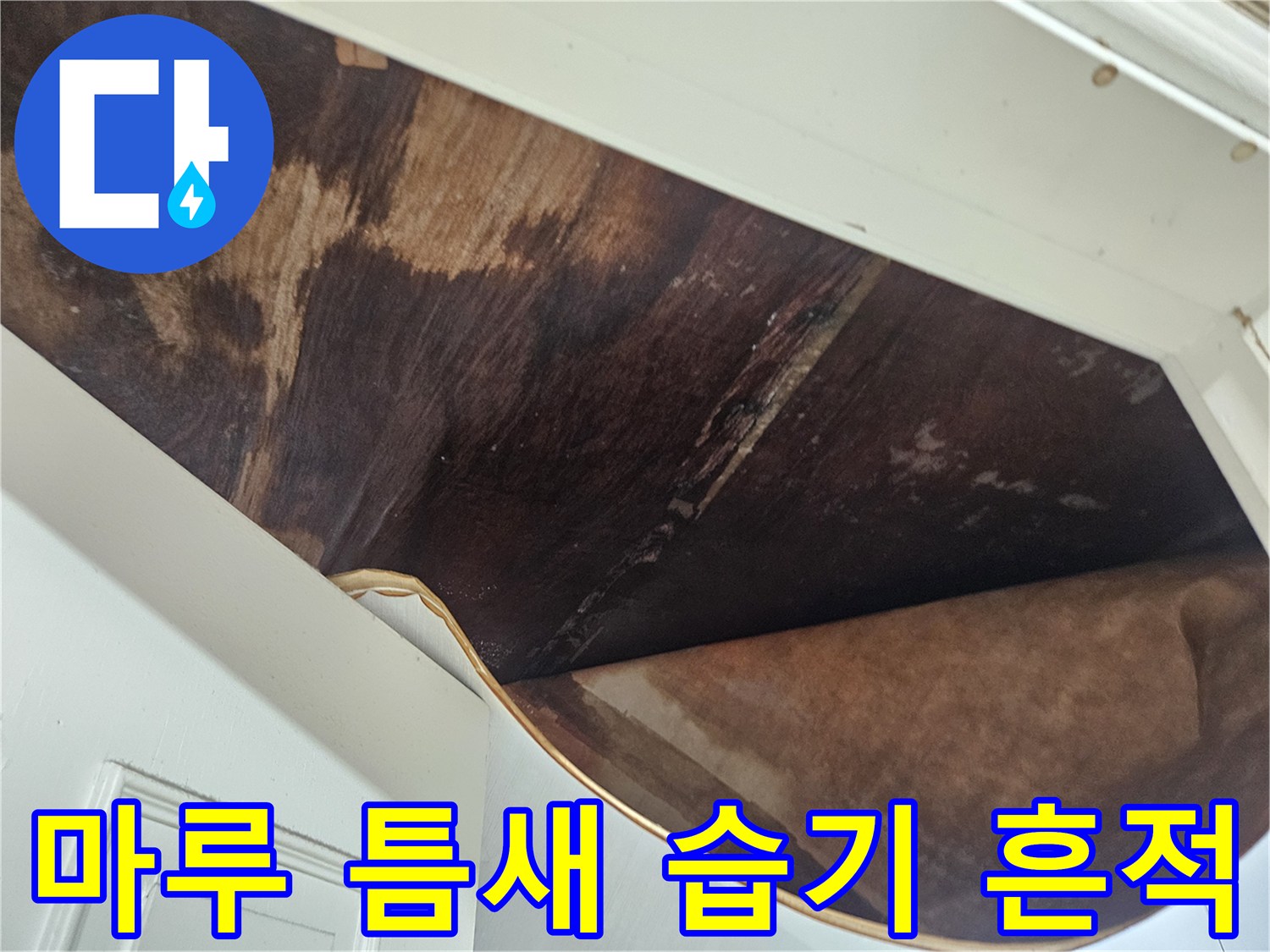 마루-틈새-습기-침투-현상