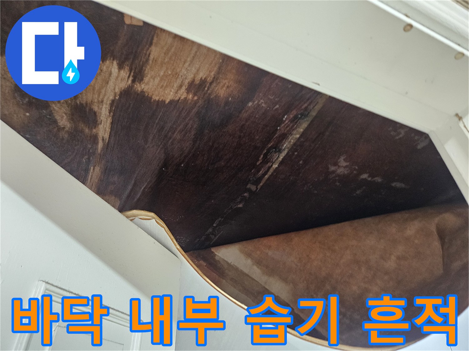마루-하부-의-젖은-무늬와-습기-침투-현상