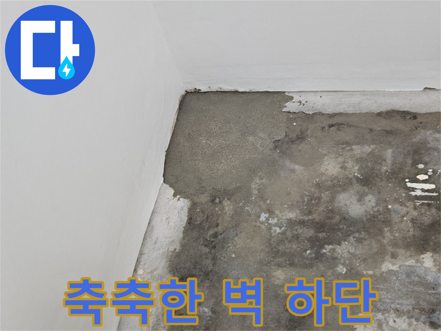물샘으로 인해 얼룩진 벽체 하부 면적