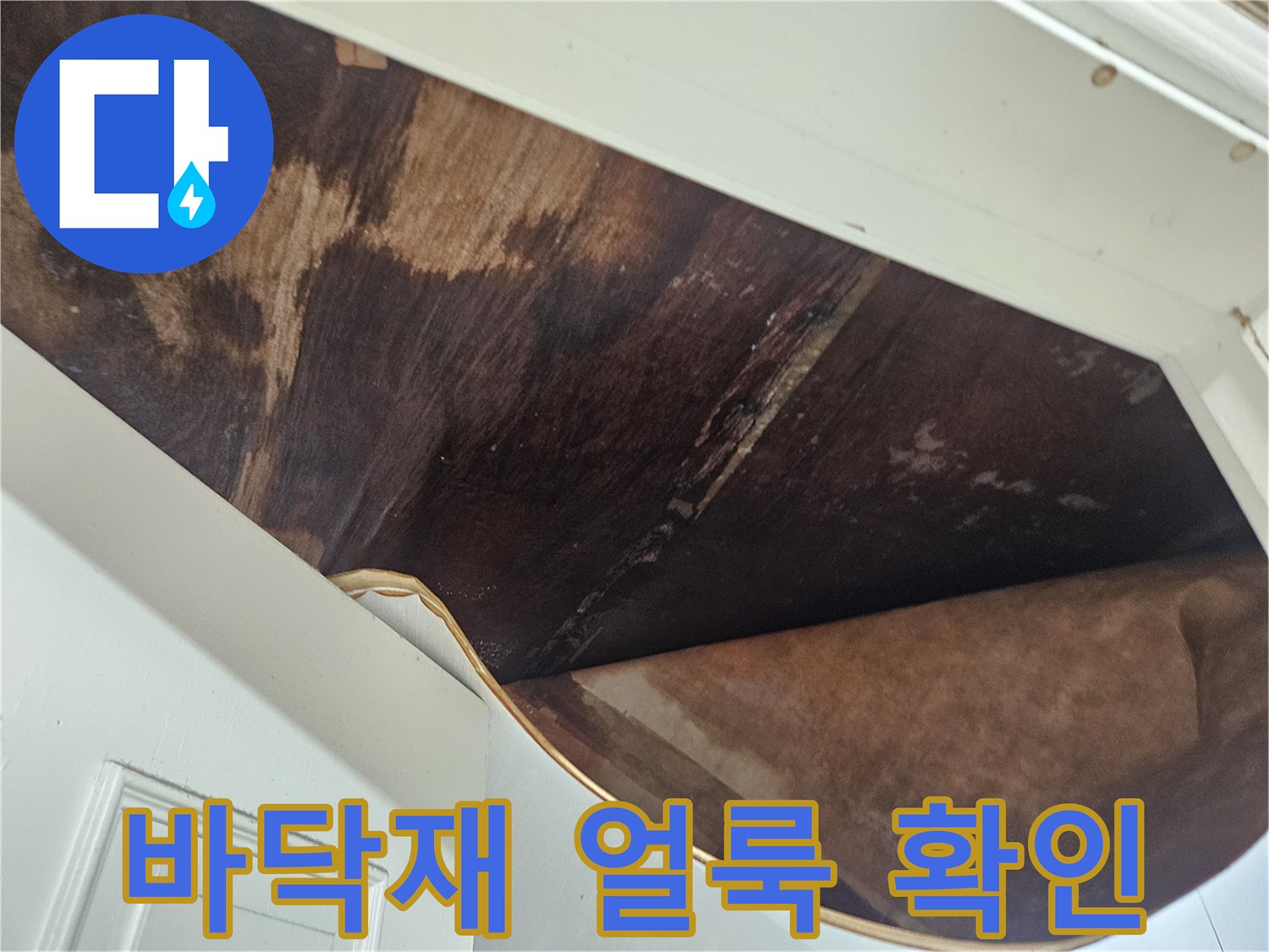 바닥재-하부-습기로-오염된-모습