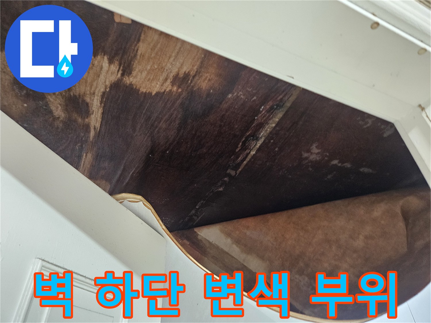 벽면-하부-마루-변색-상태