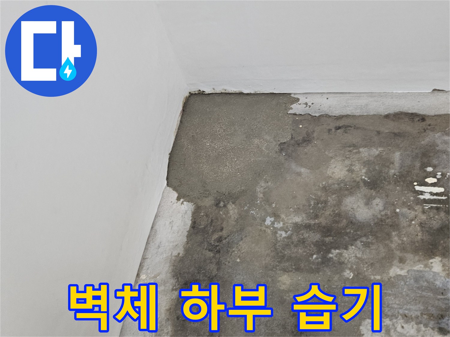 습기로 인해 변색된-벽면 콘크리트 부위
