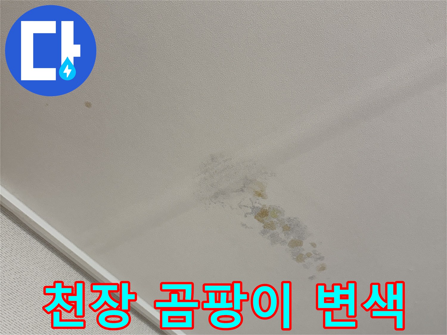 누수로 인한 천장 벽지의 곰팡이 및 변색된 부분