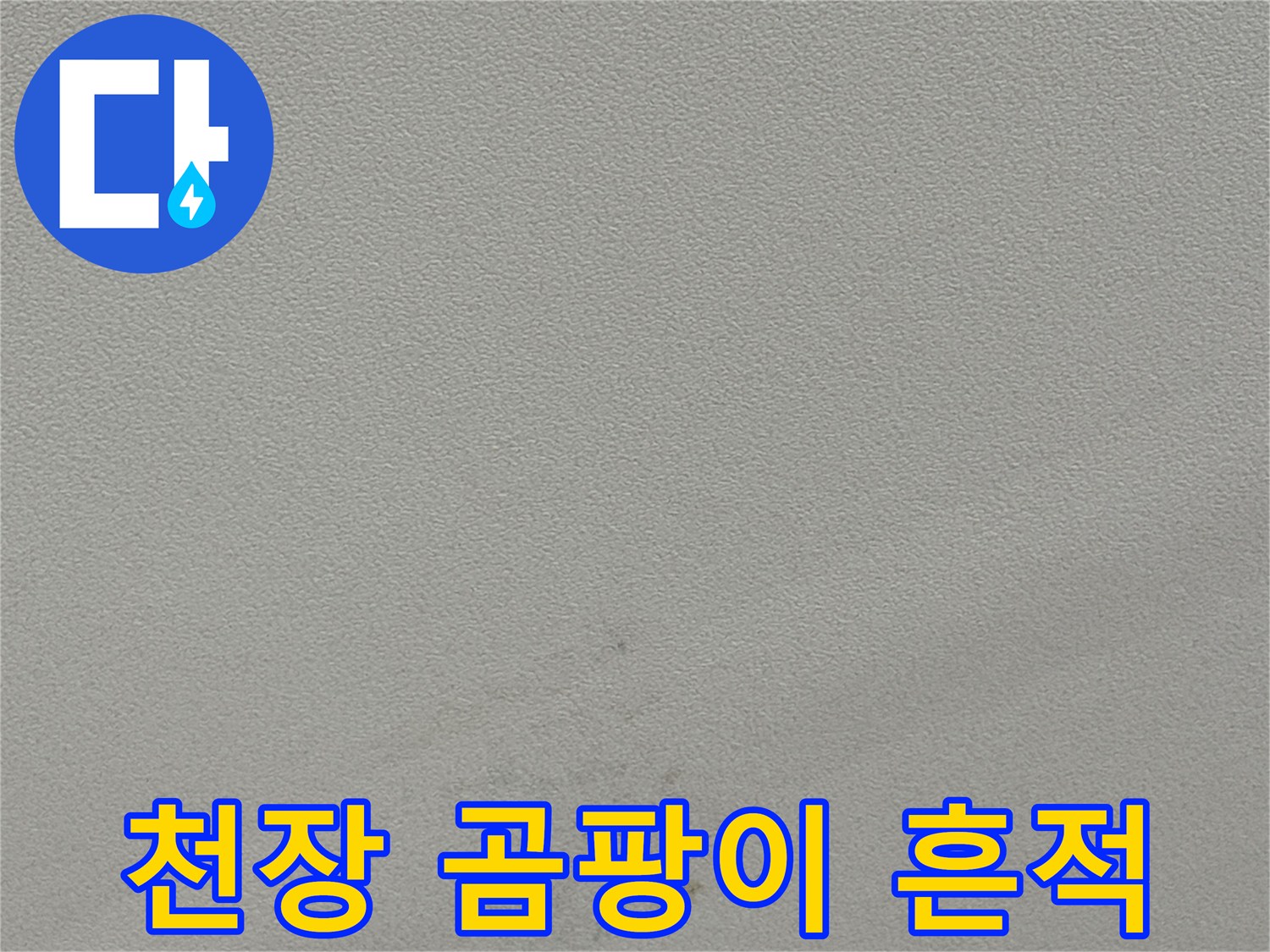누수로 인해 발생한 천장 마감재의 변색과 곰팡이