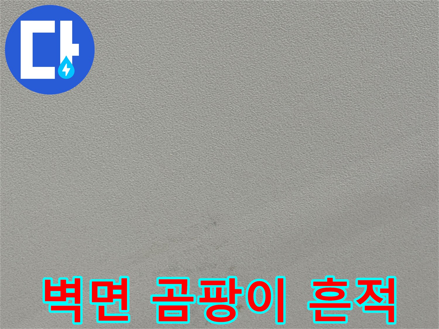천장 마감재 부위에 나타난 곰팡이 및 변색 부위