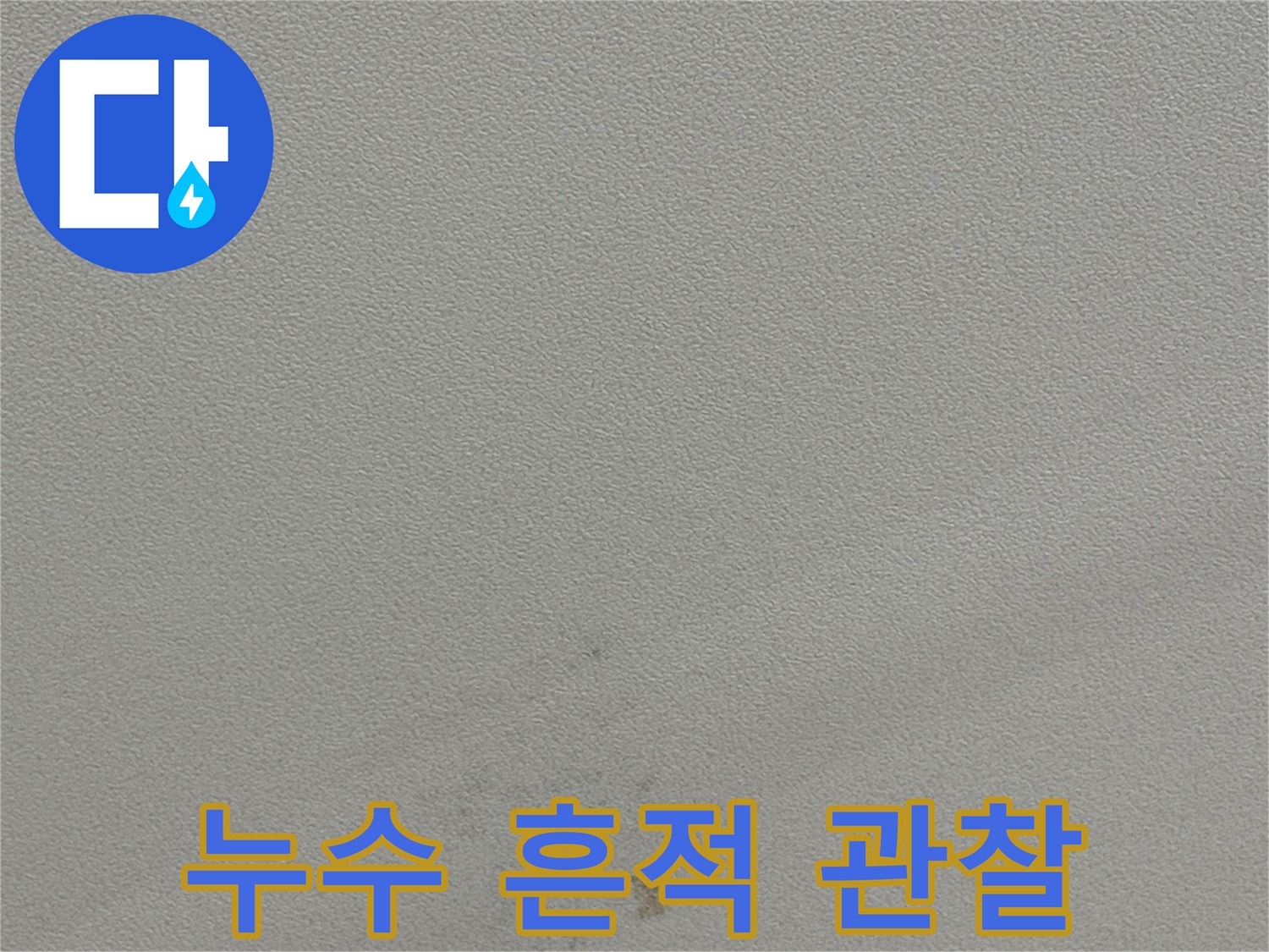 천장 벽면의 - 누수로 인한 젖은 얼룩과 변색 부위