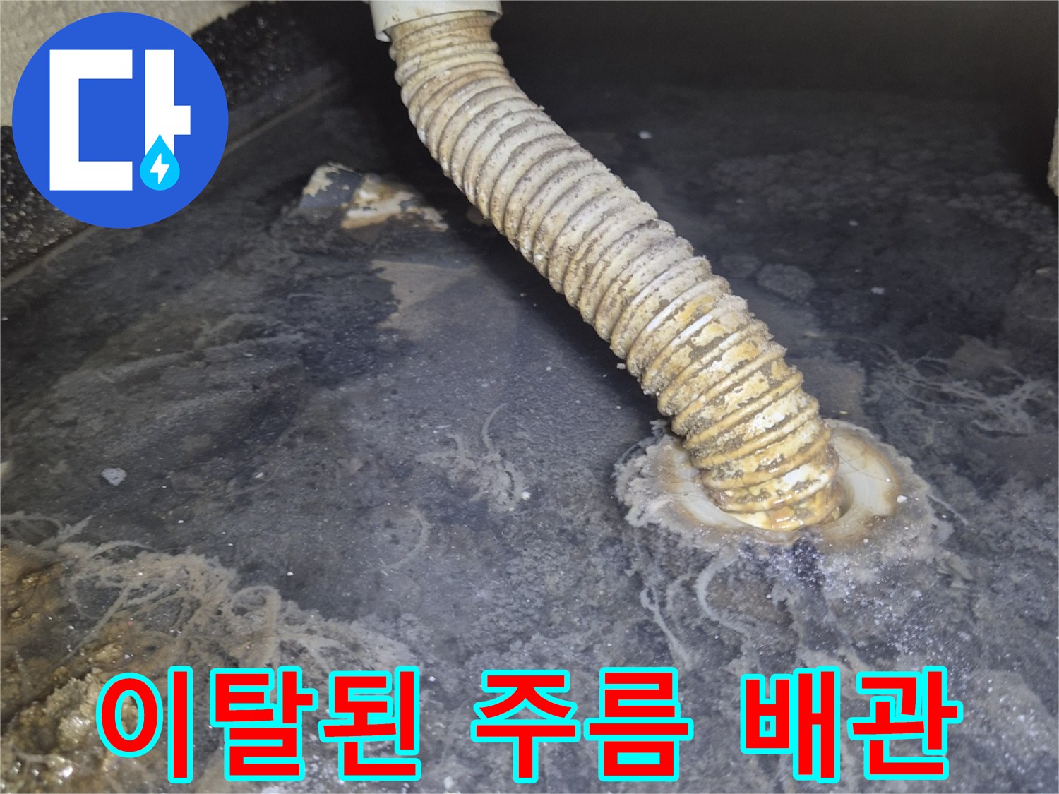 욕조 내부-벽체 연결부에서 빠져나온 배수 호스