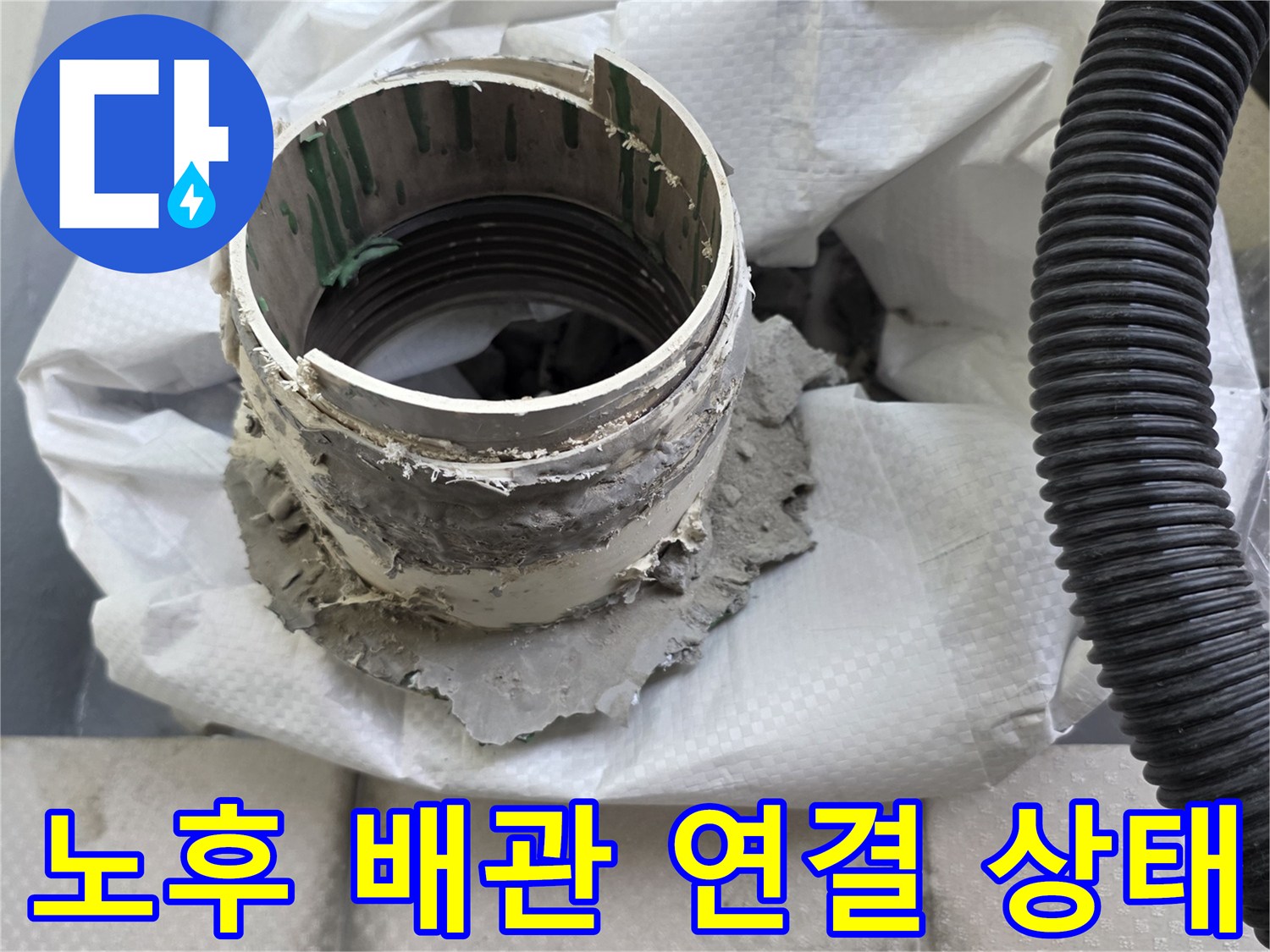 배수구-주변-이물질-및-배관-상태