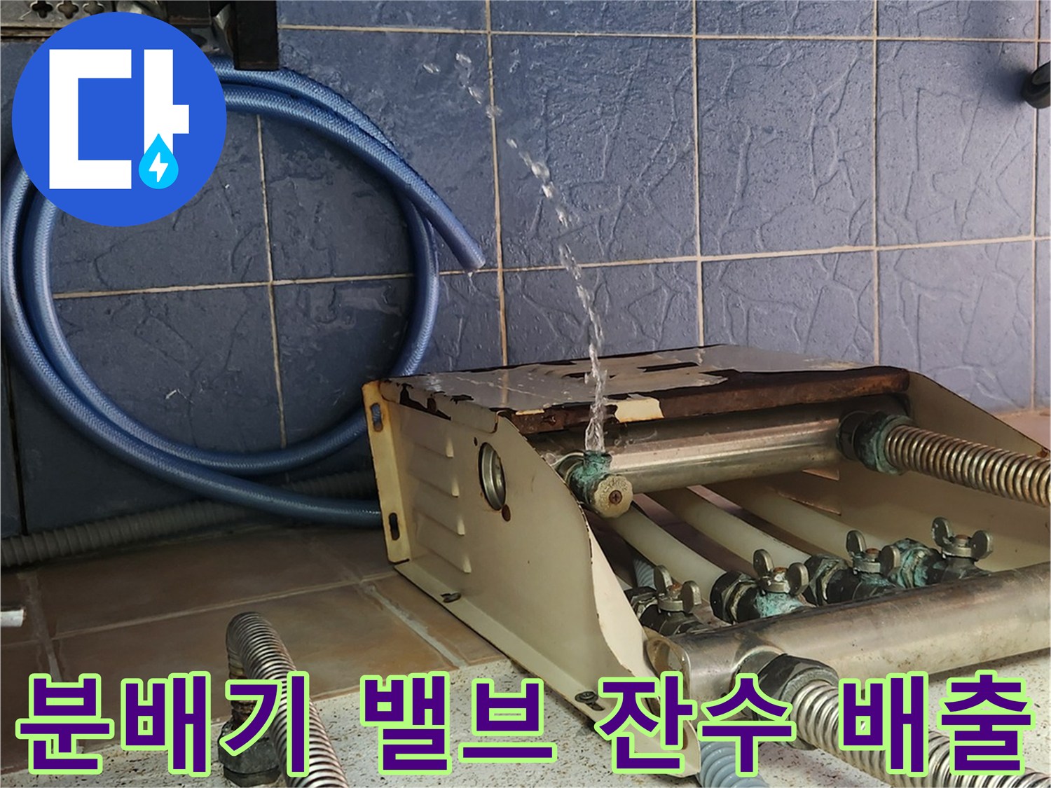 분배기 하단에서 물이 흘러나오며 배관 내부를 비우는 작업입니다.
