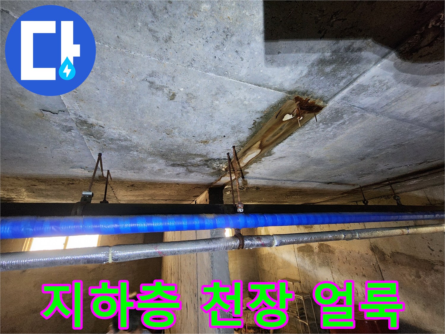 빌라-지하층-천장-콘크리트-누수-흔적