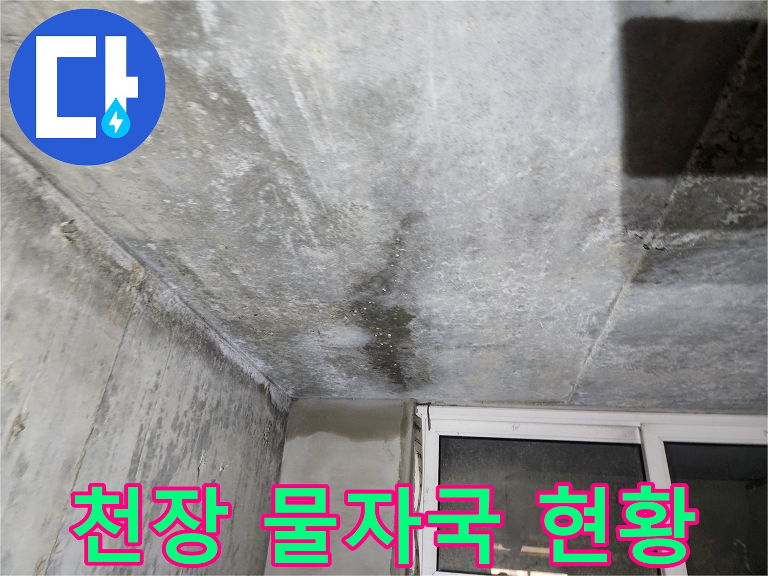 습기가 스며들어 변색된 지하층 천장 콘크리트 부위