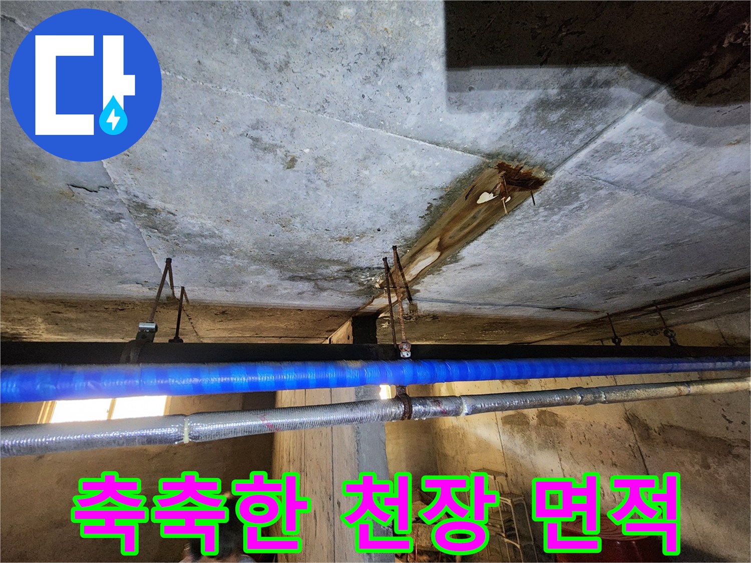 전곡-빌라-지하층-천장-누수-흔적-확인