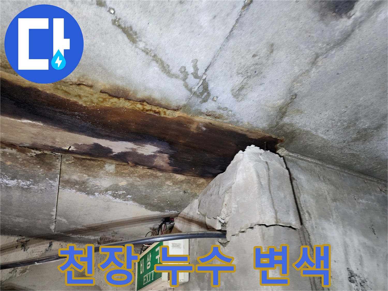 지하층 천장-콘크리트 누수-침투 흔적