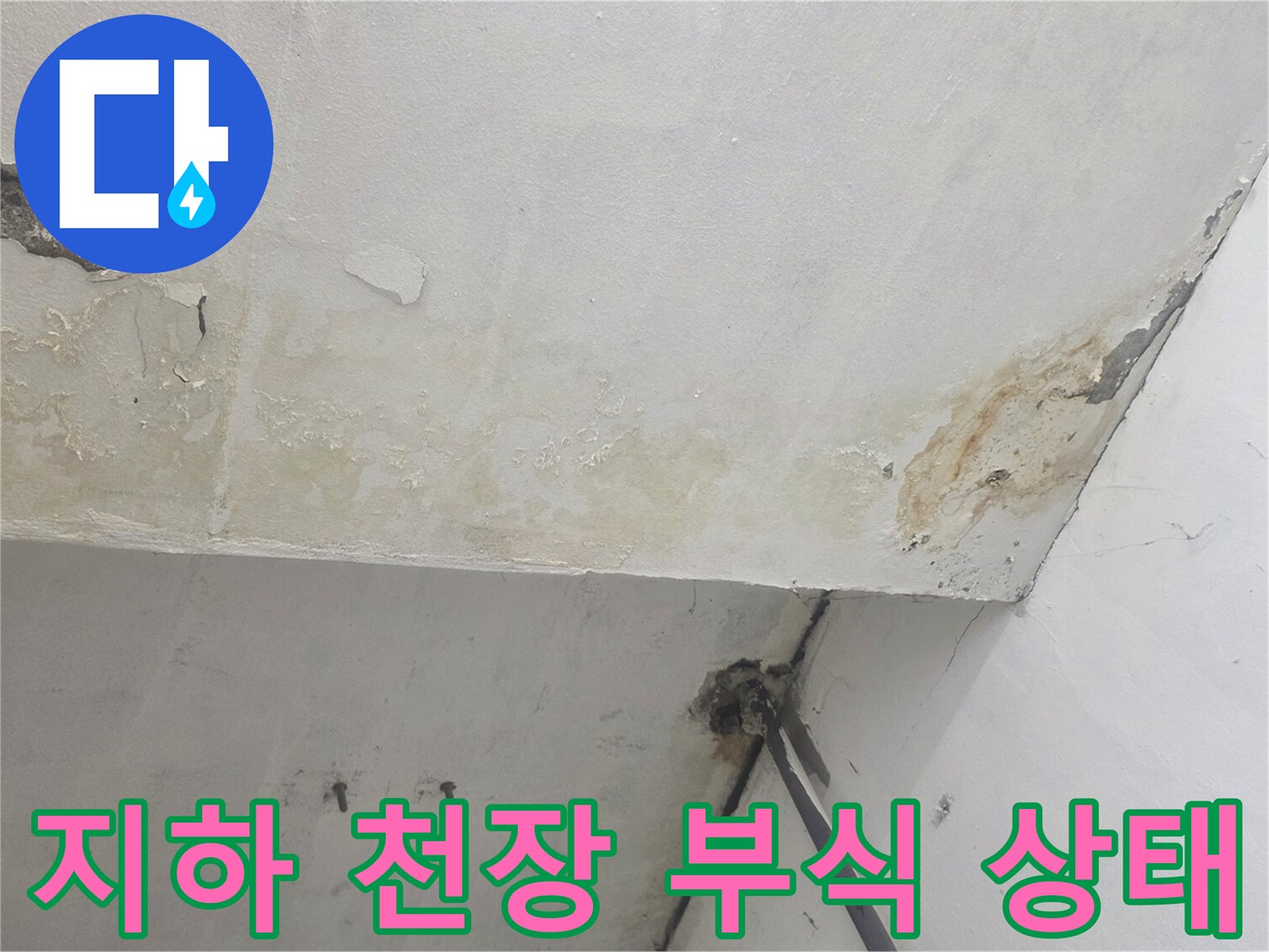강서구 화곡동 지하-백화와 박리가 동반된 천장 사진