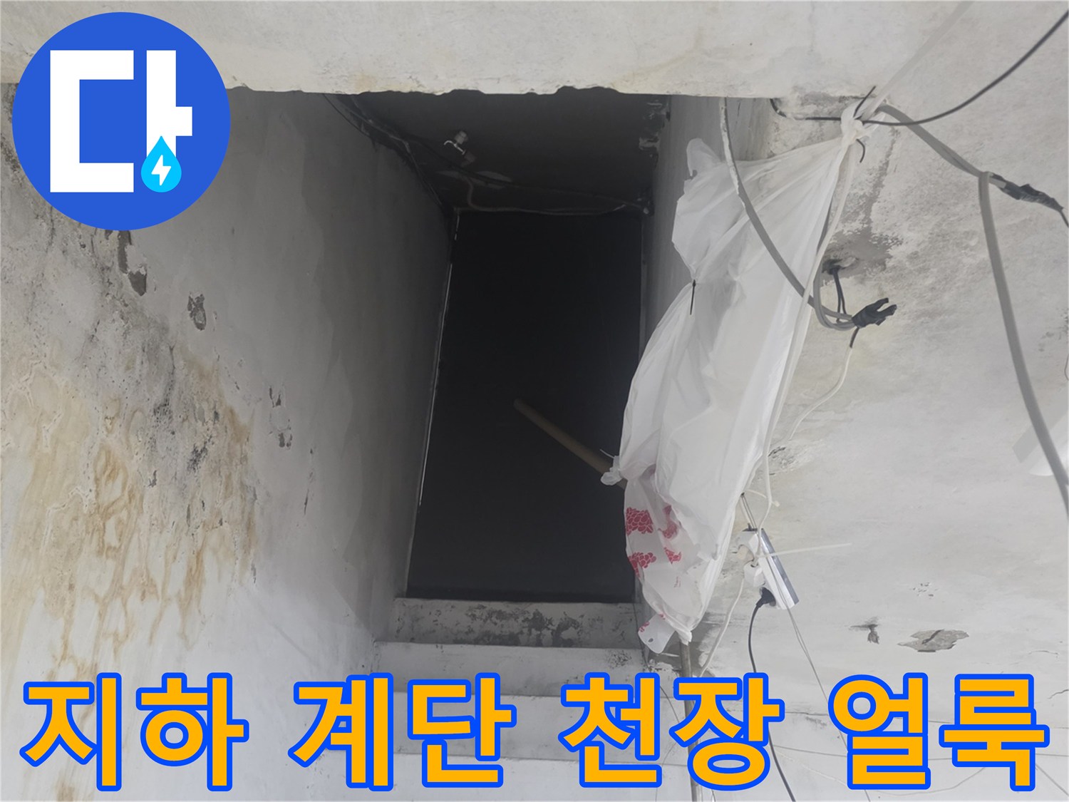 화곡동 지하 공간-물에 젖어 변색된 천장과 벽면
