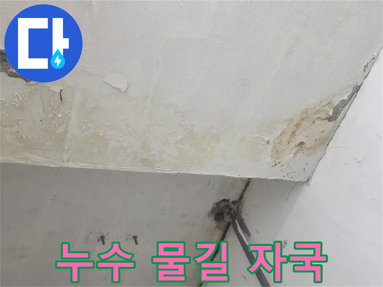 화곡동 현장 사진-천장 곳곳에 나타난 누수 경로 흔적