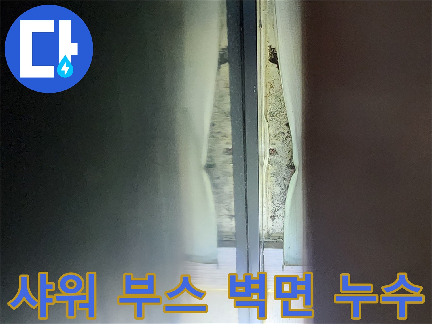 물기가 스며든 샤워부스 안쪽 타일 벽면 사진