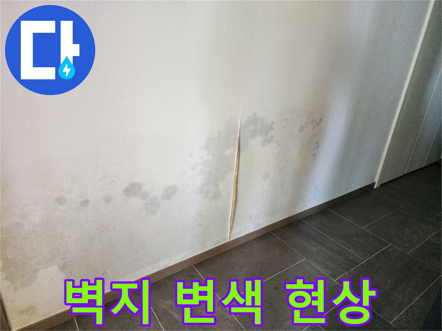 안양 동안구 현장-벽지 하단부 곰팡이 및 변색 상태