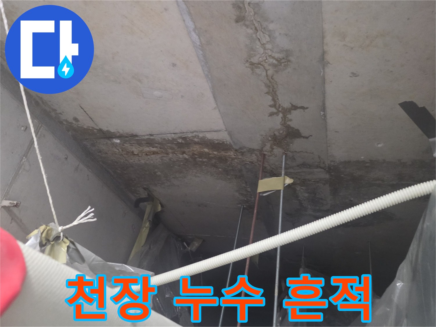 상가-엘리베점퍼-천장-물샘-자국-확인