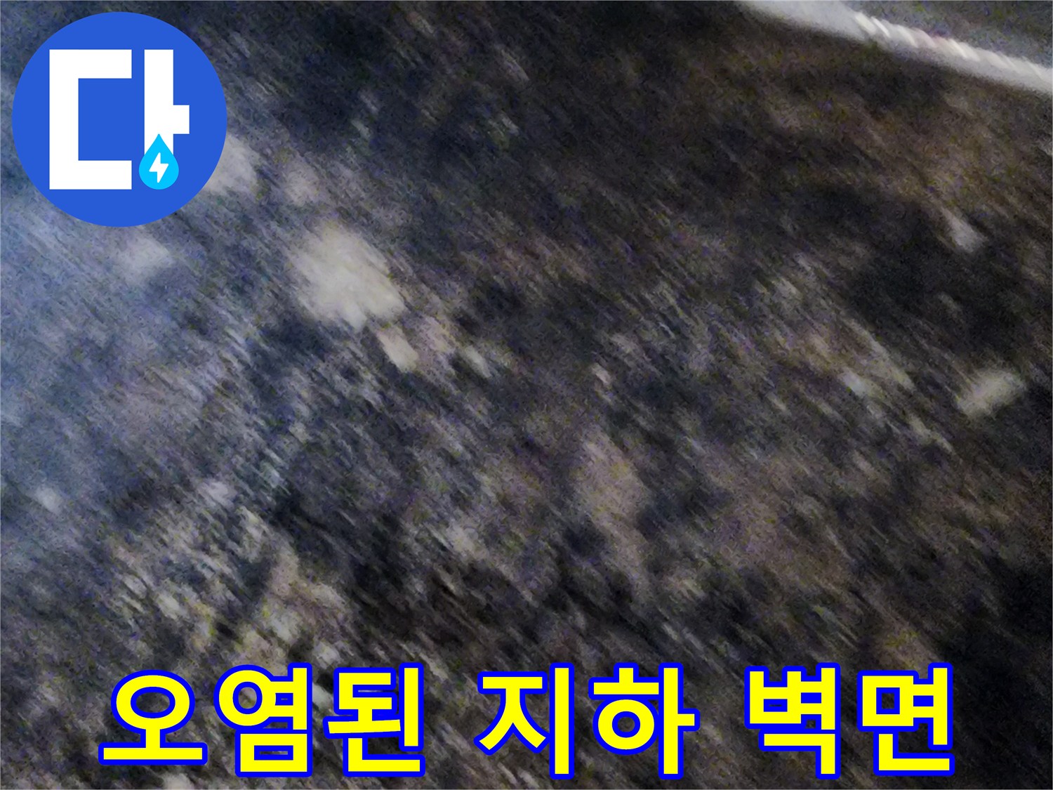 곰팡이와 습기로 오염된 지하실 내부 벽면