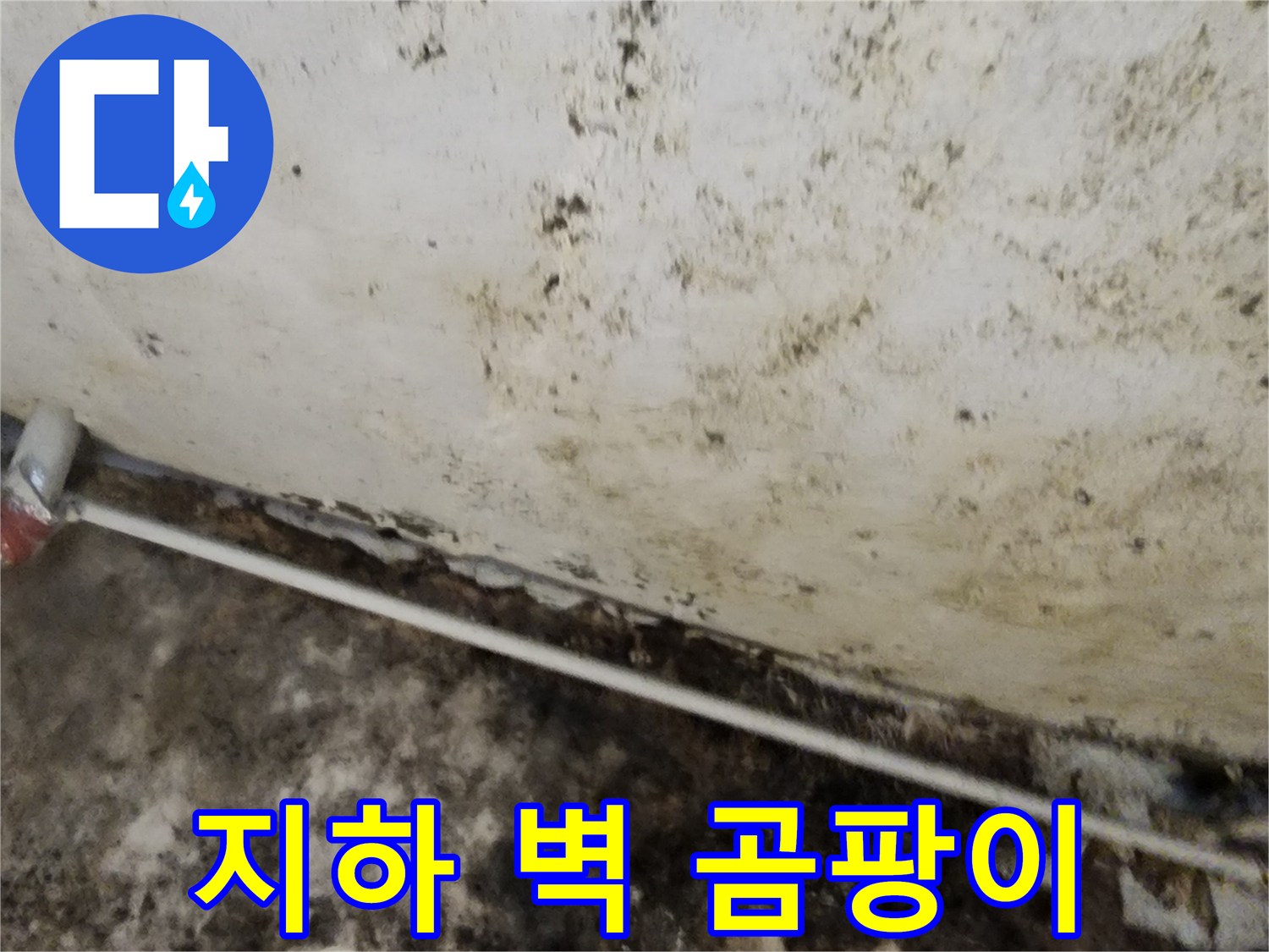 누수로 인해 검게 얼룩진 지하실 내부 벽면 모습