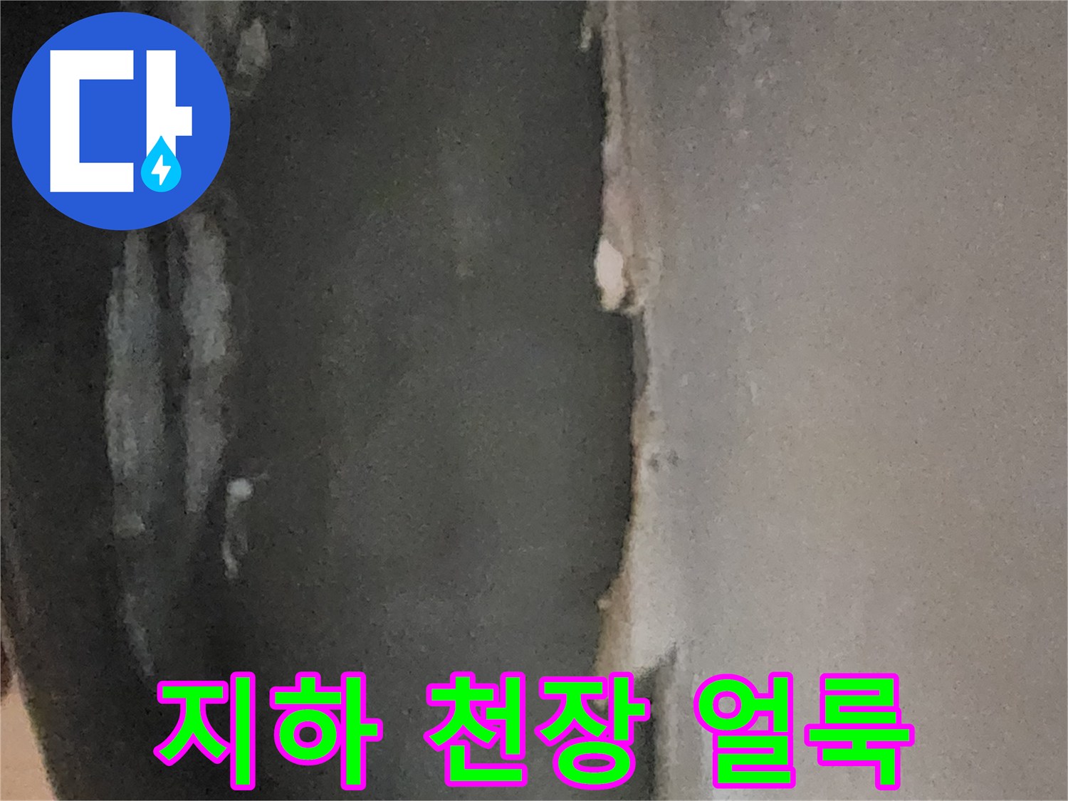 물기에 의해 변색된 지하실 천장의 마감재 상태