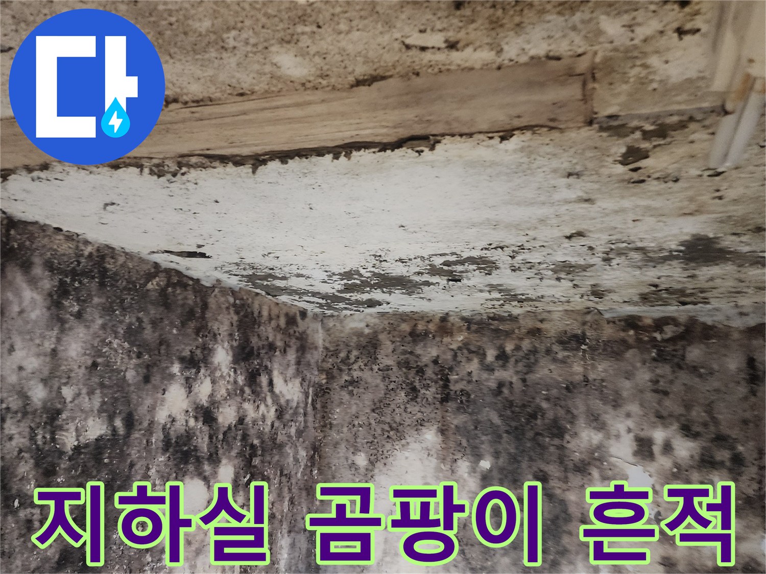 서초구 염곡동 지하 공간의 벽면과 바<0xA3>닥에 퍼진 곰팡이와 습기 상태