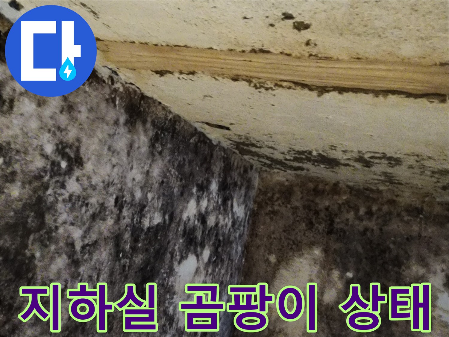 서초구 염곡동 현장의-지하실 벽면과 바CA 곰팡이 오염 상태