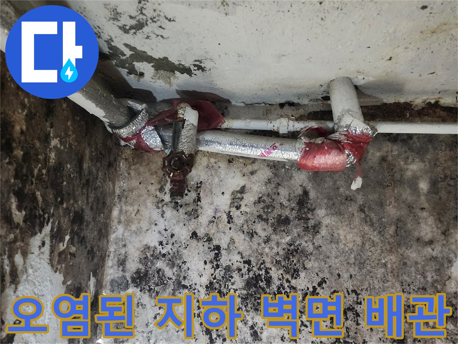 습기가 가득한-지하 배관과 곰팡이 핀 벽체