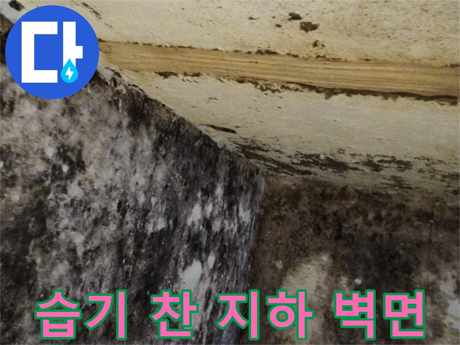 습기로 인해 곰팡이가 발생한 지하실 내부 모습